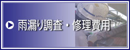 雨漏りの調査・修理費用